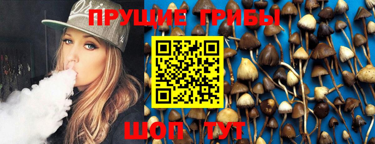 Камень-на-Оби  Галлюциногенные грибы прущие грибы  что такое   Галлюциногенные грибы Magic Shrooms  Вход с VPN 